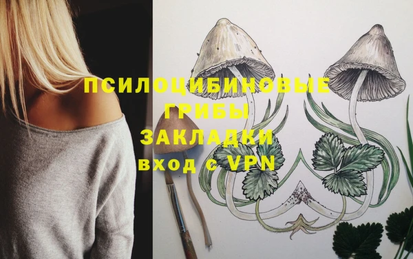 герыч Новодвинск