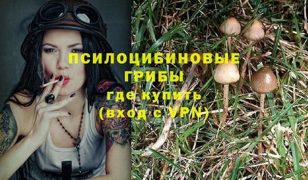 кокаин Новозыбков