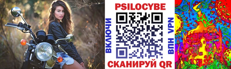 Псилоцибиновые грибы Cubensis  Приволжский 
